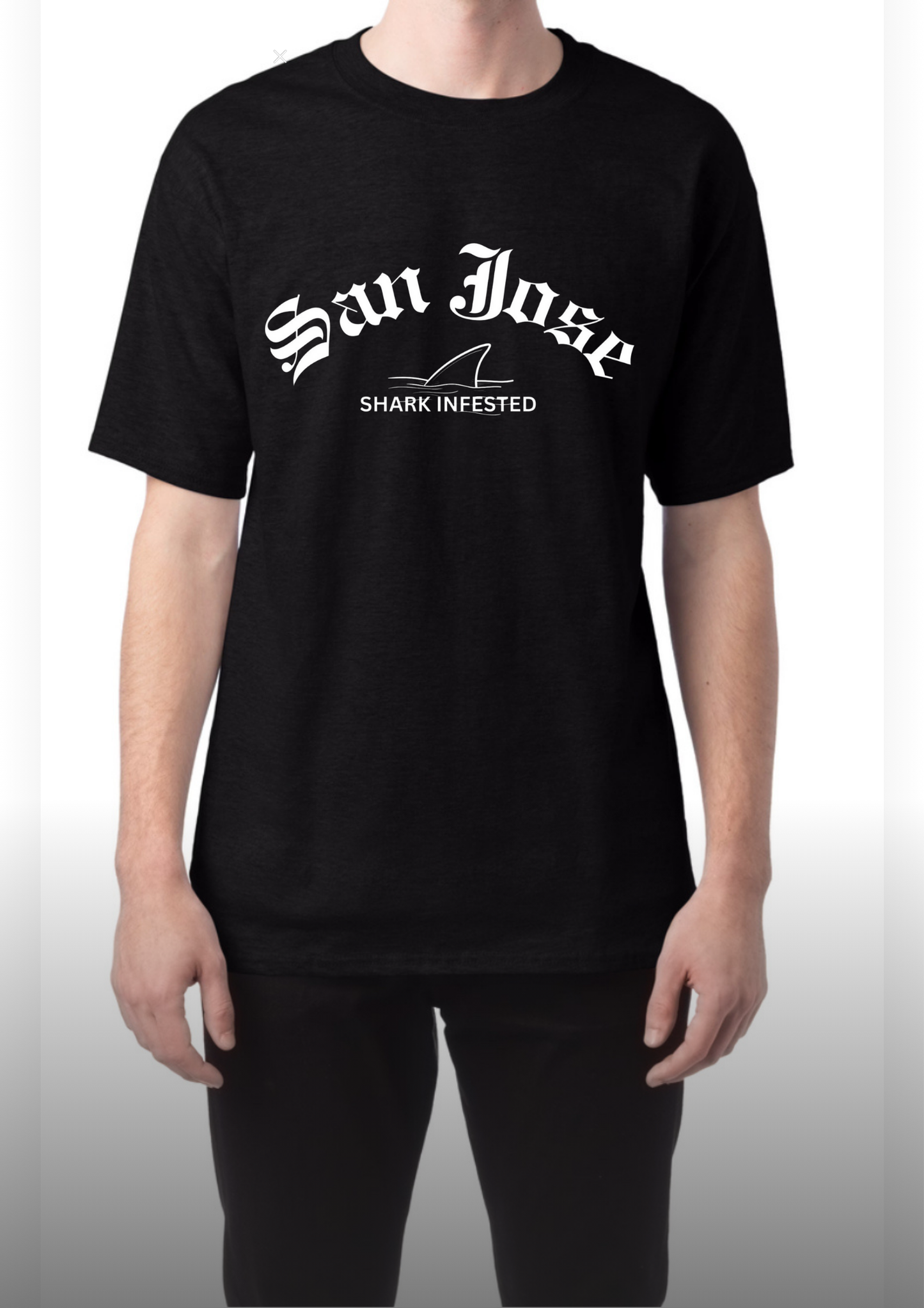 SJ Shark Infested