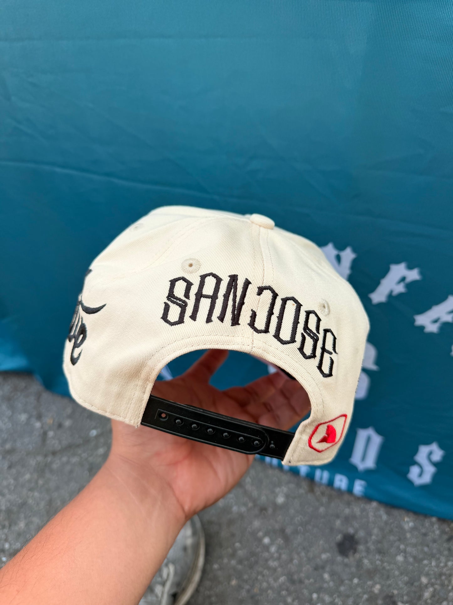 SJ Native